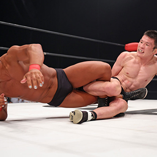 エル・リンダマン(左)を攻める青木真也